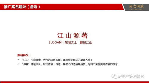 房地产营销策划与信息咨询一体化解决方案